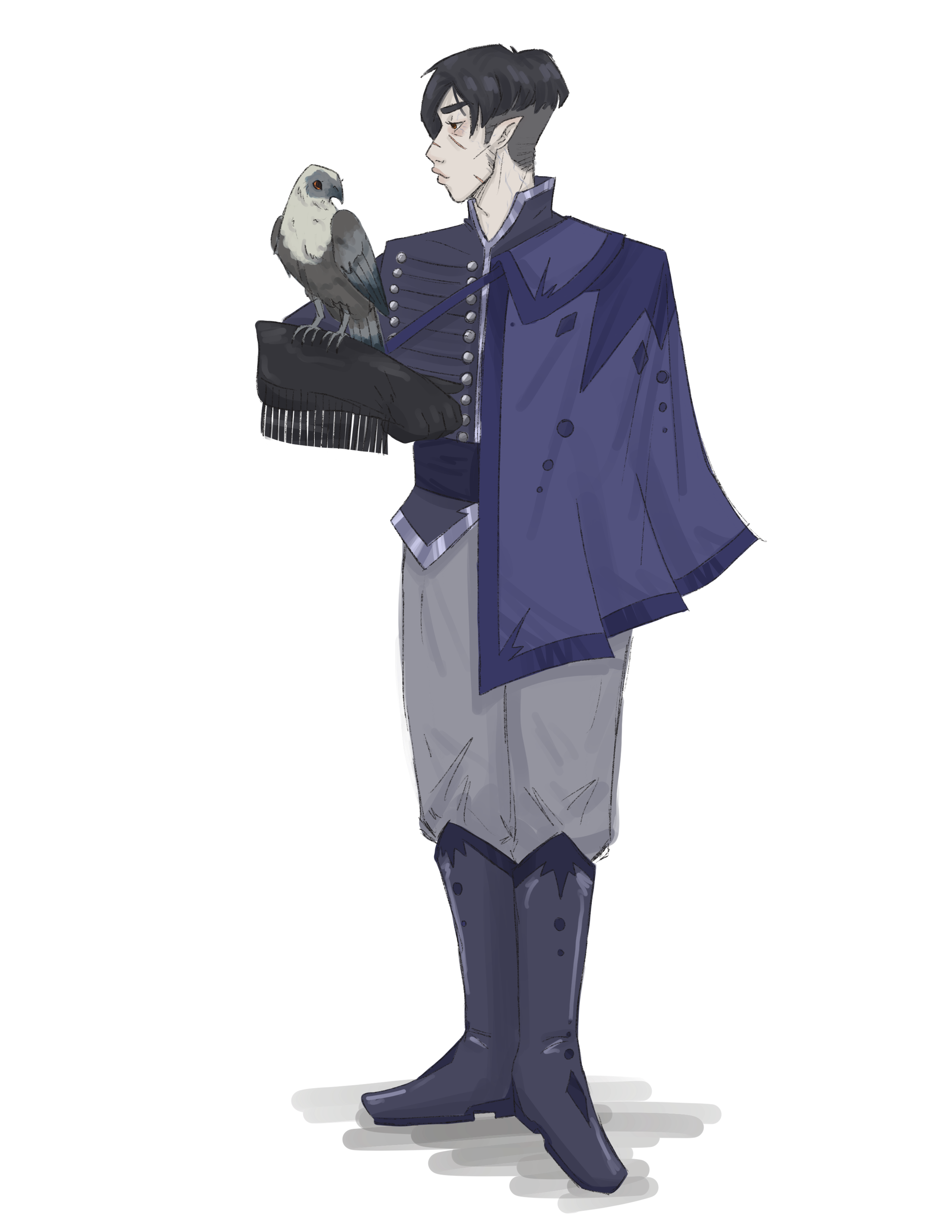 Concept art illustrating Dark Elf typical appearance.